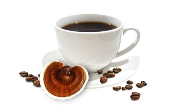 Healthy Life Coffee